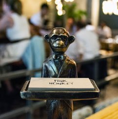 Mono-Reserva-Pink-Monkey